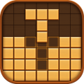 Wood Block Puzzle - Brain Game